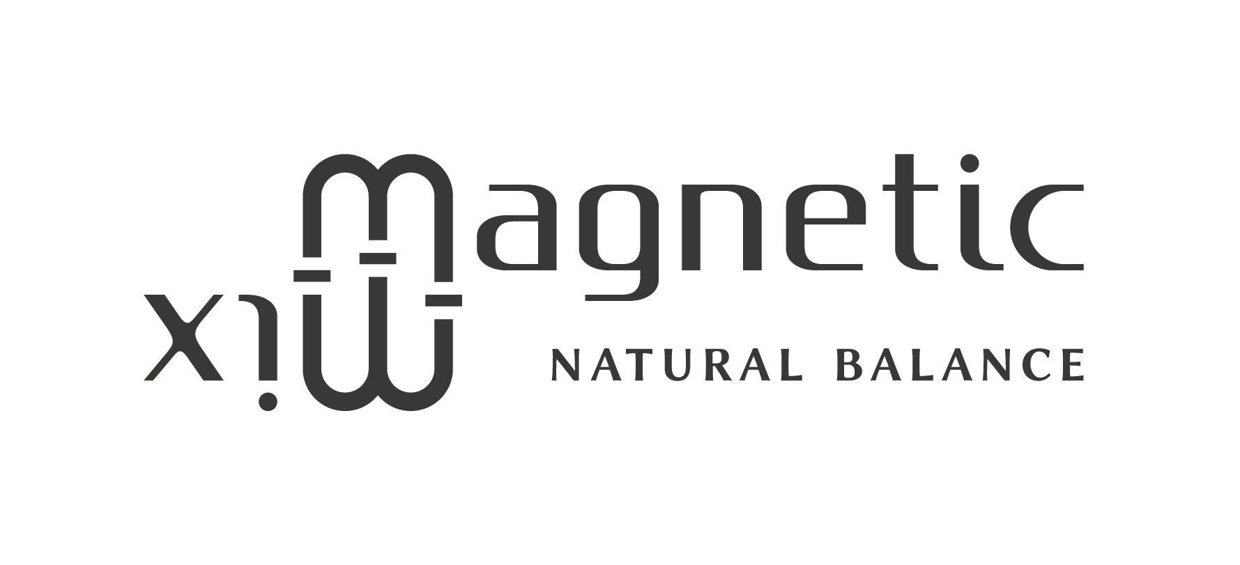 Λογότυπος Studio Μουσικής Παραγωγής "Magnetic Mix"