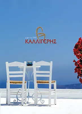 Εξώφυλλο καταλόγου για έπιπλα οικιακού και επαγγελματικού εξοπλισμού. Σύνδεσμος για υπηρεσία εικονικού ξεφυλλίσματος.